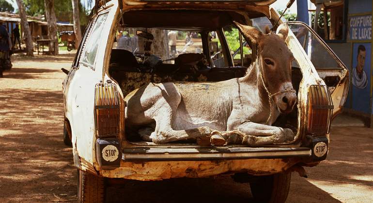 burro-burkina-faso-coche.jpg