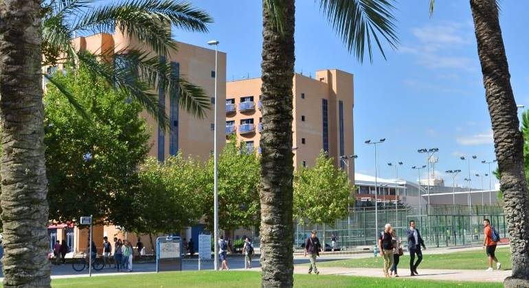 upv.jpg