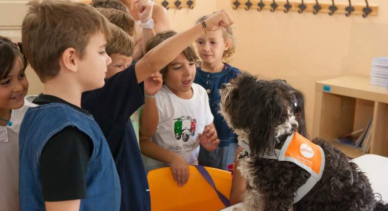 Alumnos interactan con un perro de terapia