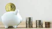 Los ricos se suben de forma masiva a la ola de bitcoin, ethereum y el resto de criptomonedas