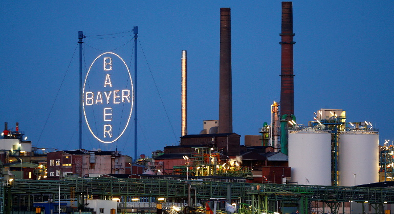 bayer.jpg