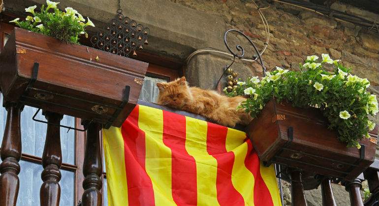 cataluna-balcon-gato.jpg