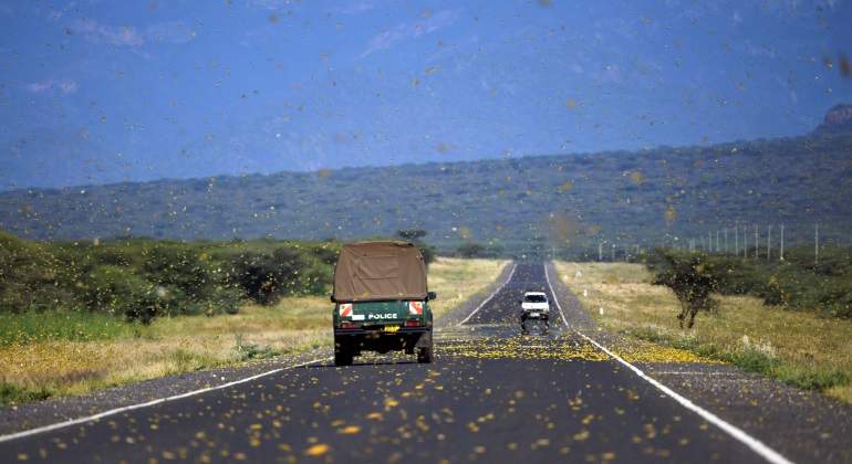 plaga-langostas-africa-getty.jpg