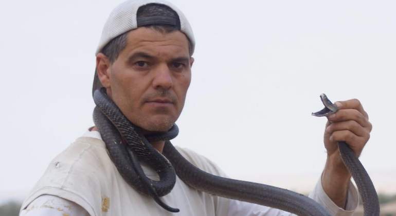 frank-blanco-mordedura-serpiente-twitter.jpg