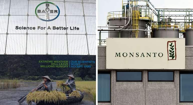 Bayer-Monsanto-Getty.jpg