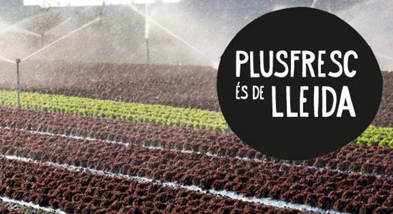 plusfresc-lerida-770.jpg
