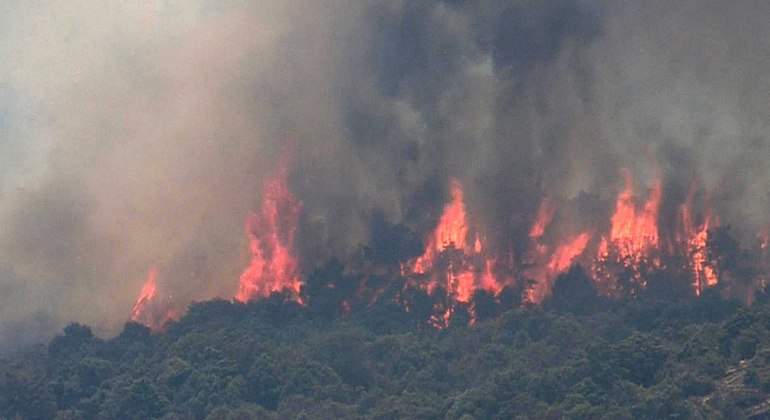 El Gobierno envía más de una treintena de medios aéreos para combatir incendios en todo el país