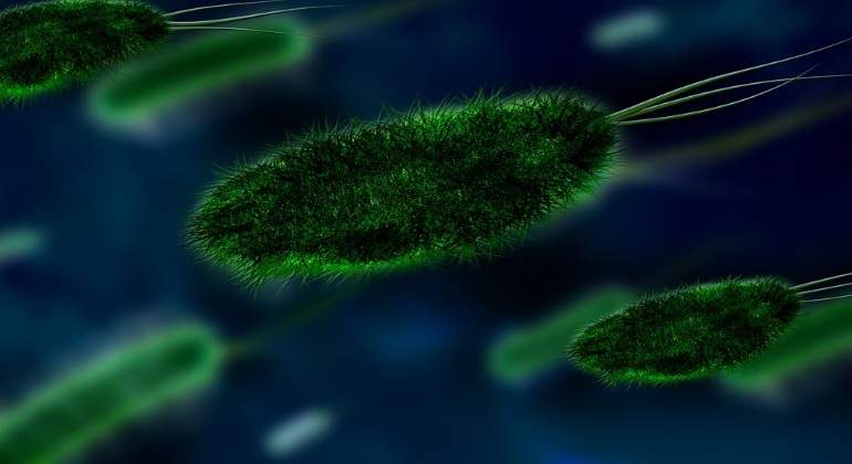 cancer-parkinson-farmaco-12-07-16.jpg