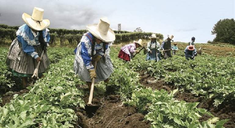 agroperu.jpg
