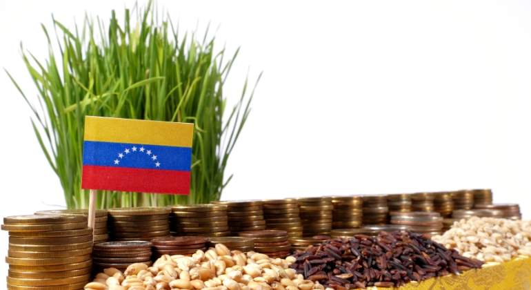 venezuela-alimentos-precios-dreamstime.jpg