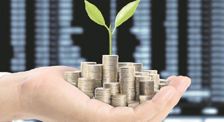 Dinero-floreciente-Istock-770-x-420.jpg