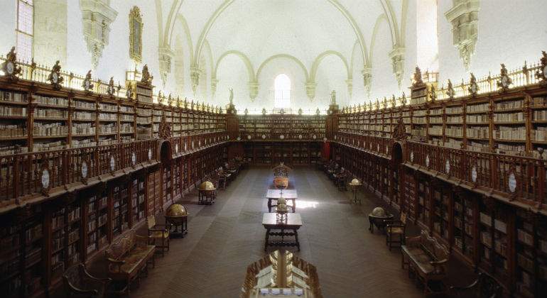 usal111.jpg
