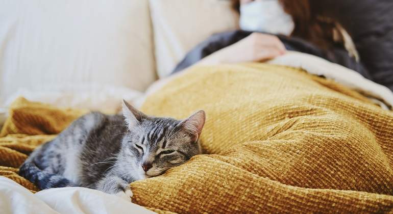 Una-persona-acostada-en-cama-con-su-gato-acostado-a-los-pies-iStock.jpg