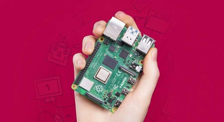raspberry-4.jpg