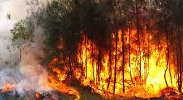 incendios