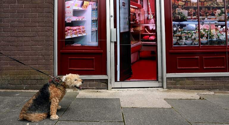 Perro-paseador-reuters.jpg