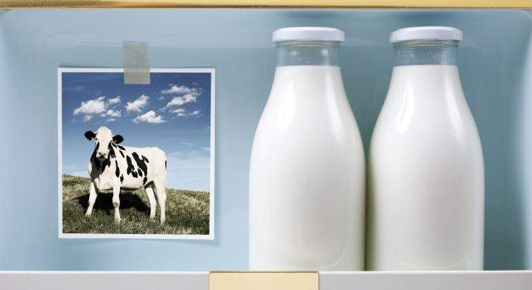 leche-botella-vaca-770.jpg