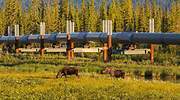 El peak oil de Alaska se agrava y la producción de petróleo cae a mínimos de 1976