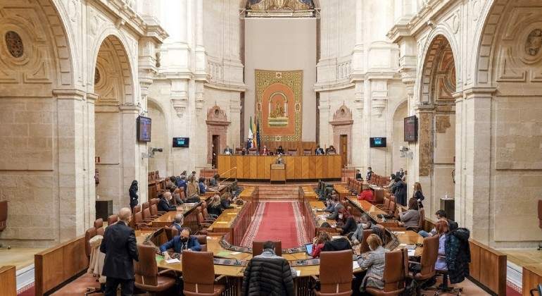 sesion-del-pleno-Andalucia.jpg