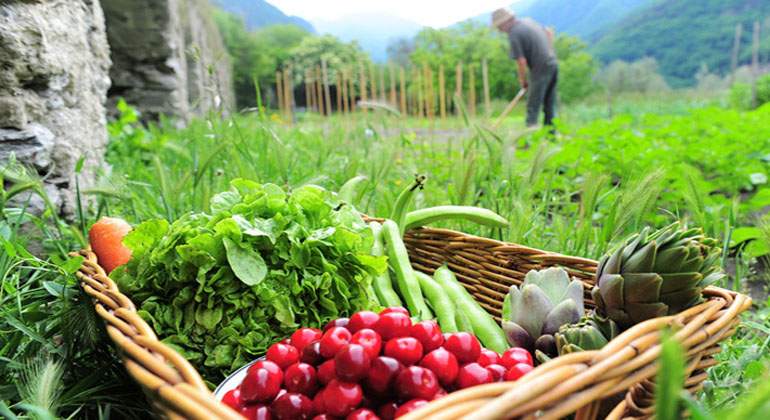 agricultura-ecologica