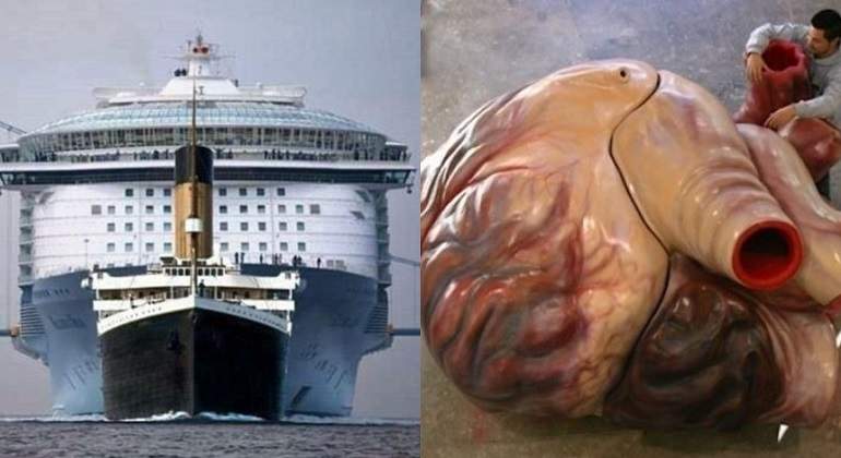 titanic-y-corazon-ballena.jpg