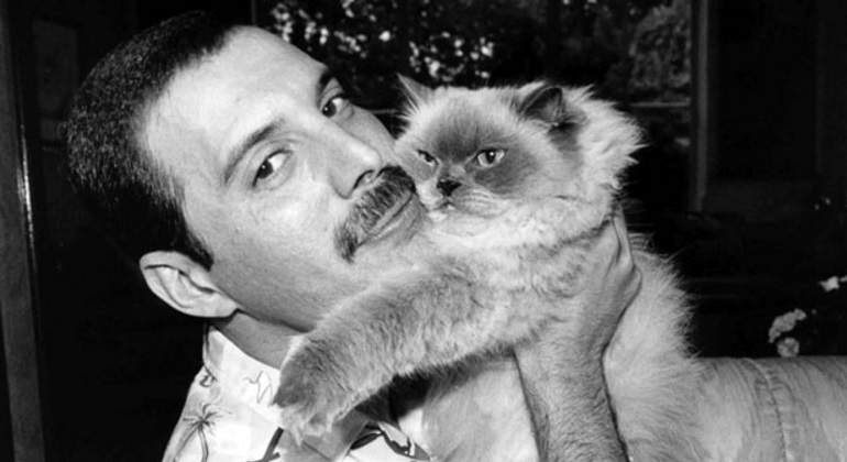 Freddie-Mercury-770-reuters.jpg