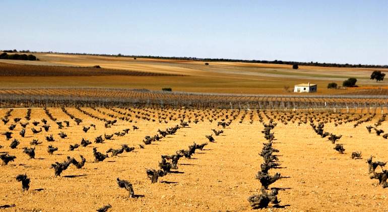 campo-castilla-770-dreamstime.jpg