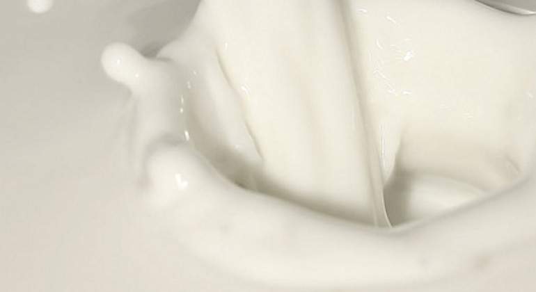 leche770.jpg
