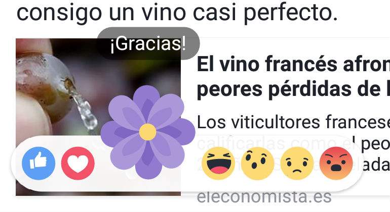 flor-facebook.jpg
