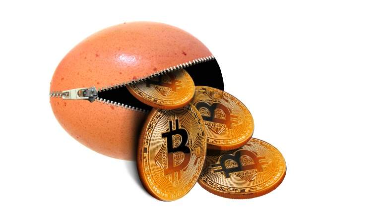 bitcoin-monedero-cremallera.jpg