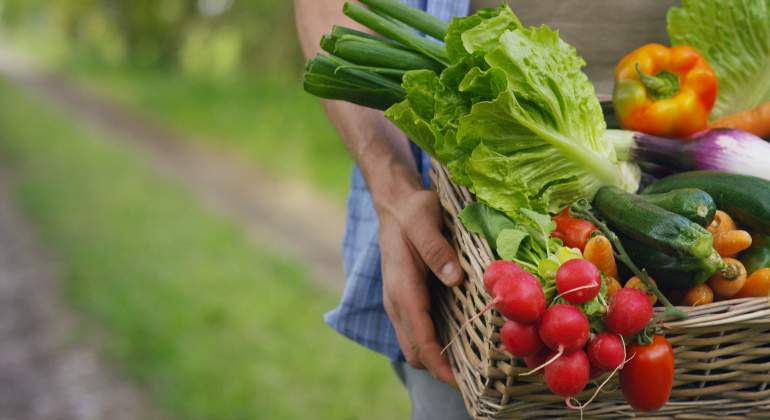 verduras-dreamstime.jpg