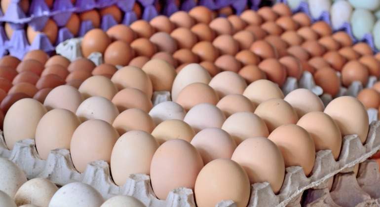 huevos-dreamstime.jpg