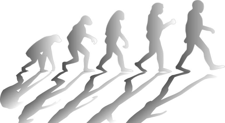 evolucion-pixabay.jpg