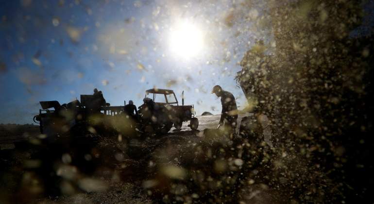 agricultura-trabajador-temporero-reuters.jpg