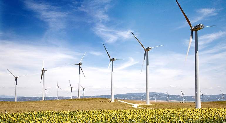 renovables-eolica-girasoles.jpg