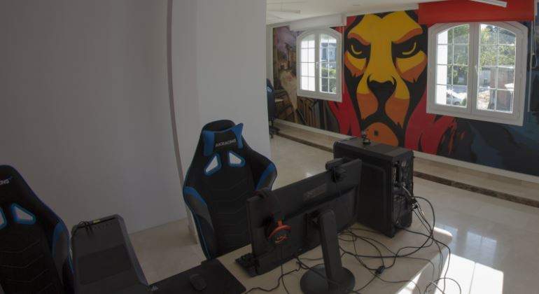 madlions-770.jpg