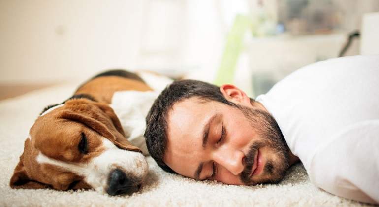 perro-chico-alfombra-getty.jpg