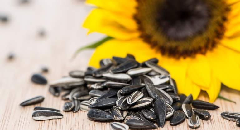 girasol-pipas.jpg