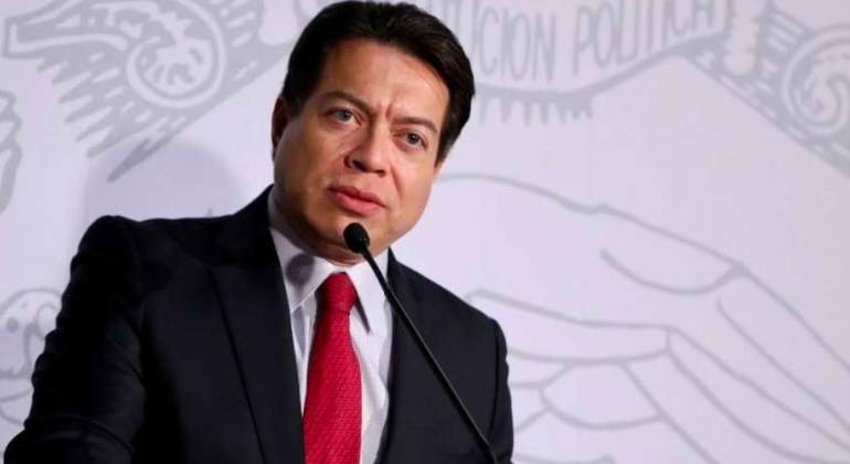 mario-delgado-morena-ine.jpg