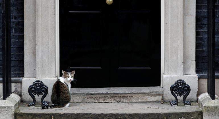 larry-puerta-gato-downing-street-10-reuters.jpg