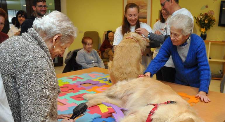 Terapia-con-perros