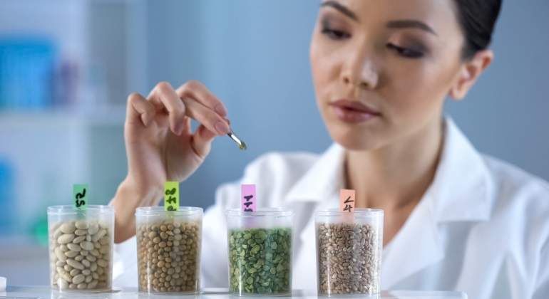 nutricion-bioquimica-dreamstime.jpg