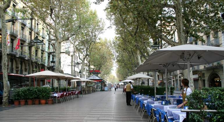 rambla-dreams.jpg