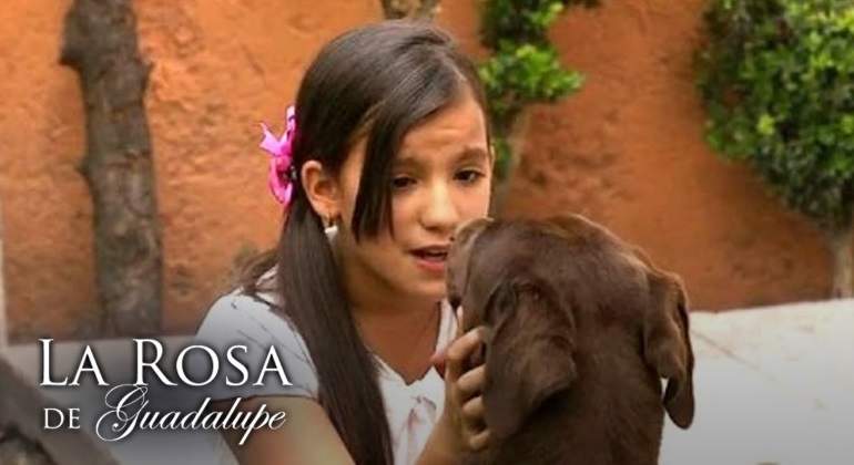 La-Rosa-de-Guadalupe-You-Tube.jpg