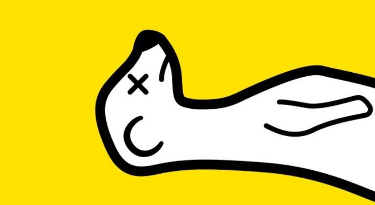 meerkat-desaparece.jpg