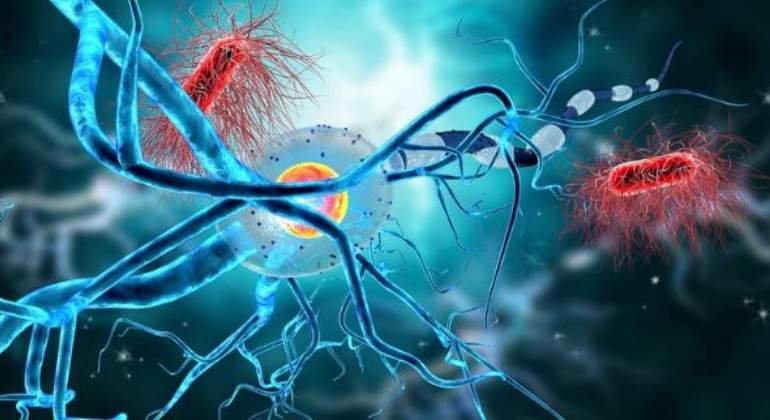 neuronas-istock-770.jpg