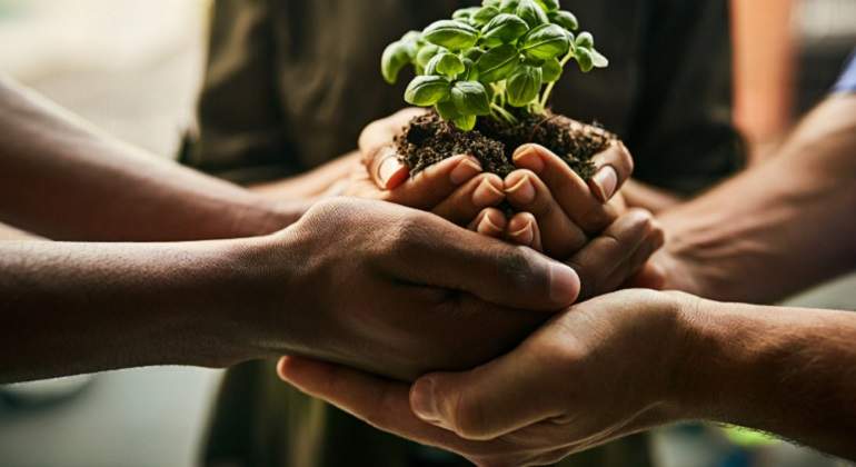 770-x-420-plantas-medi-ambiente-Istock.jpg