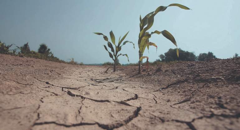 dia_del_agua_agricultura.jpg