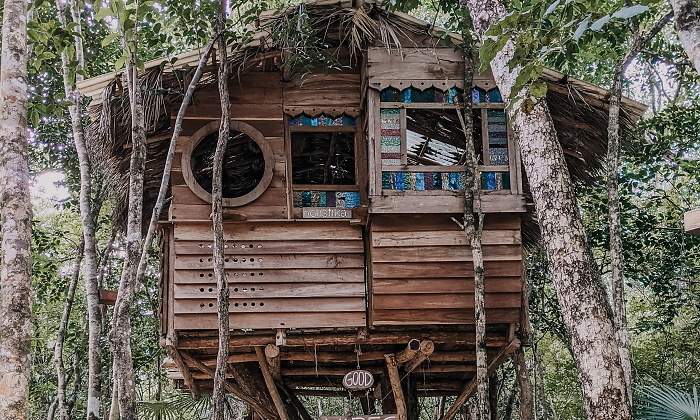 casa-arbol-3.jpg