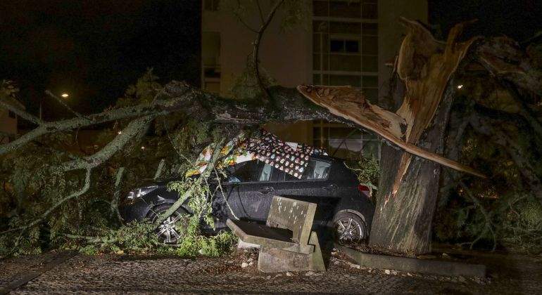 leslie-coche-arbol-portugal-reuters.jpg
